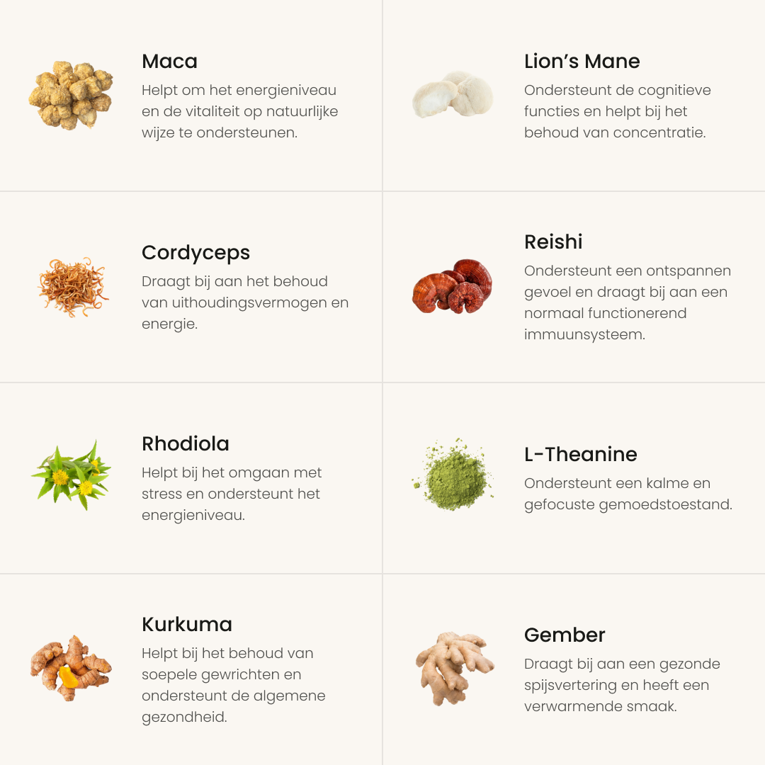 Morning: Paddenstoelen & Superfood Blend