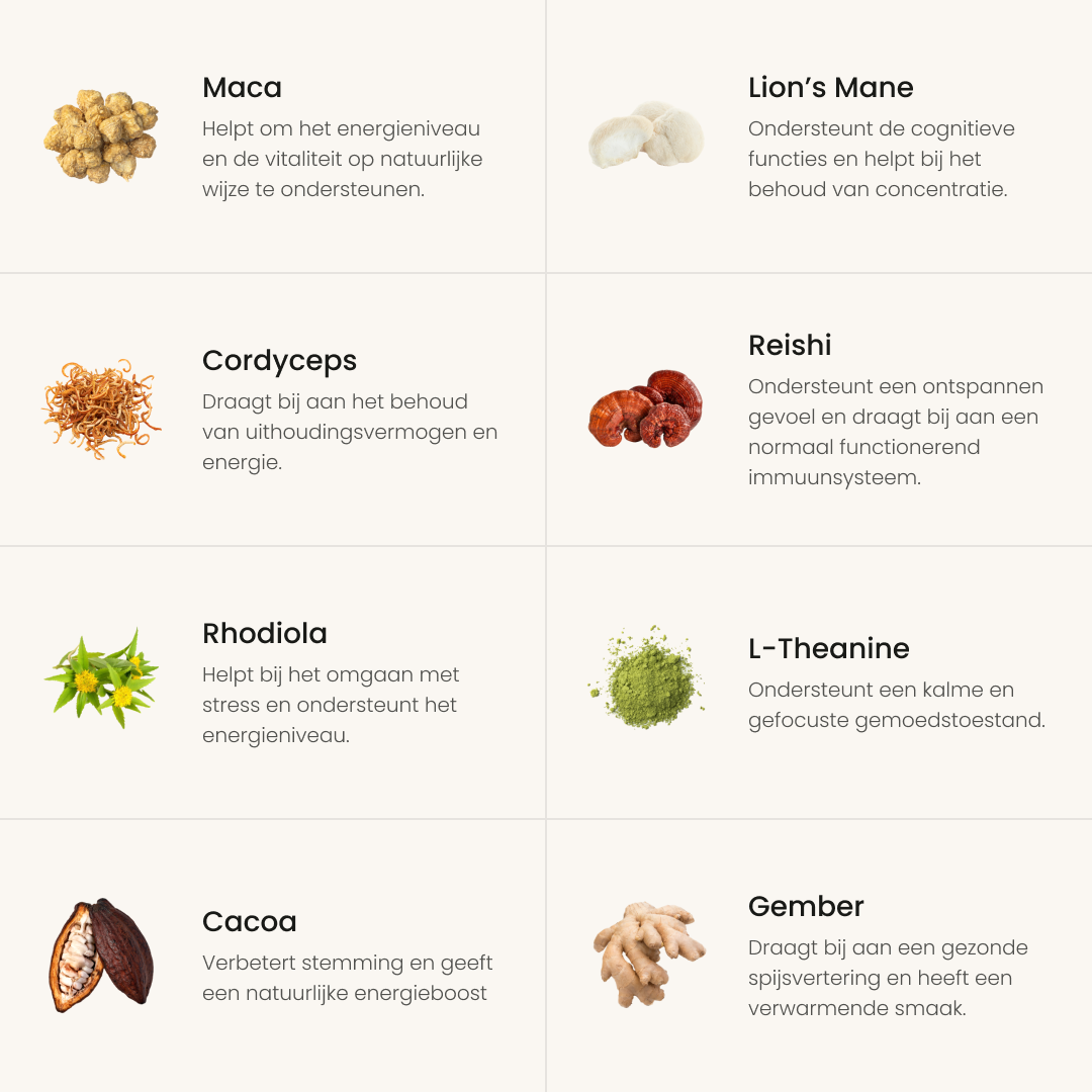 Morning: Paddenstoelen Blend