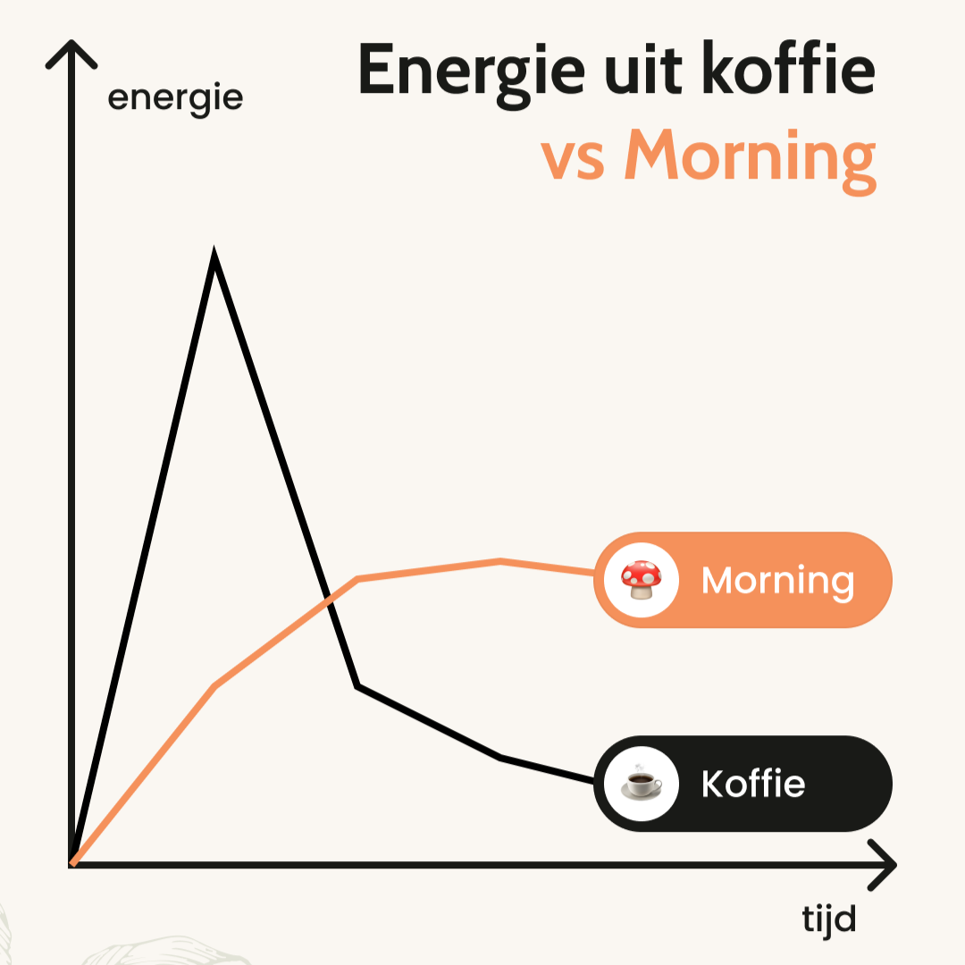 Morning: Paddenstoelen Blend